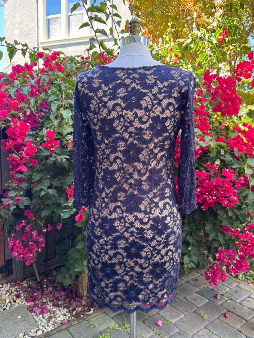 ASOS Petite Elegant Lace Shift Dress | US 10 Petite | Excellent Condition - Picture 2 of 16
